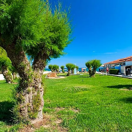 Kalamaki Hotel, Island 3*